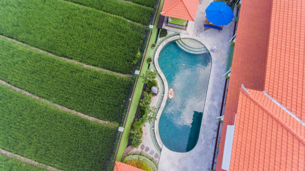 Villa Padi Чангу Экстерьер фото